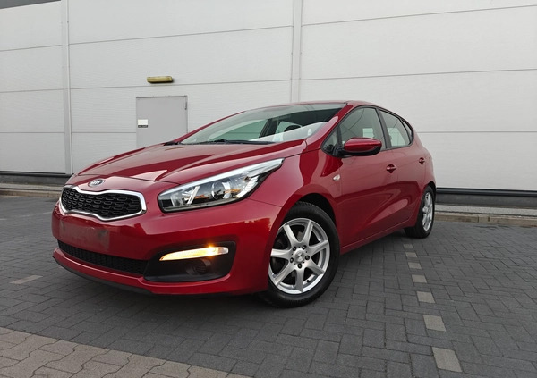 Kia Ceed cena 38900 przebieg: 156500, rok produkcji 2016 z Mieszkowice małe 631
